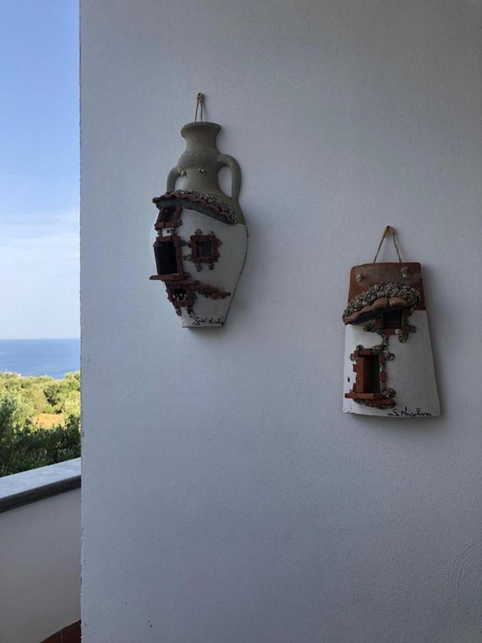 B&B La Marinella Palinuro Zewnętrze zdjęcie